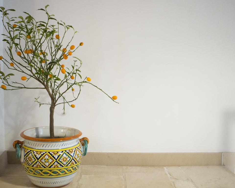 Dimora Nonna Rosa Bed & Breakfast Conversano Bagian luar foto